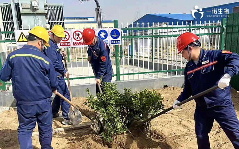 共植綠色未來(lái),化工企業(yè)植樹(shù)活動(dòng),環(huán)保,綠色工廠(chǎng)