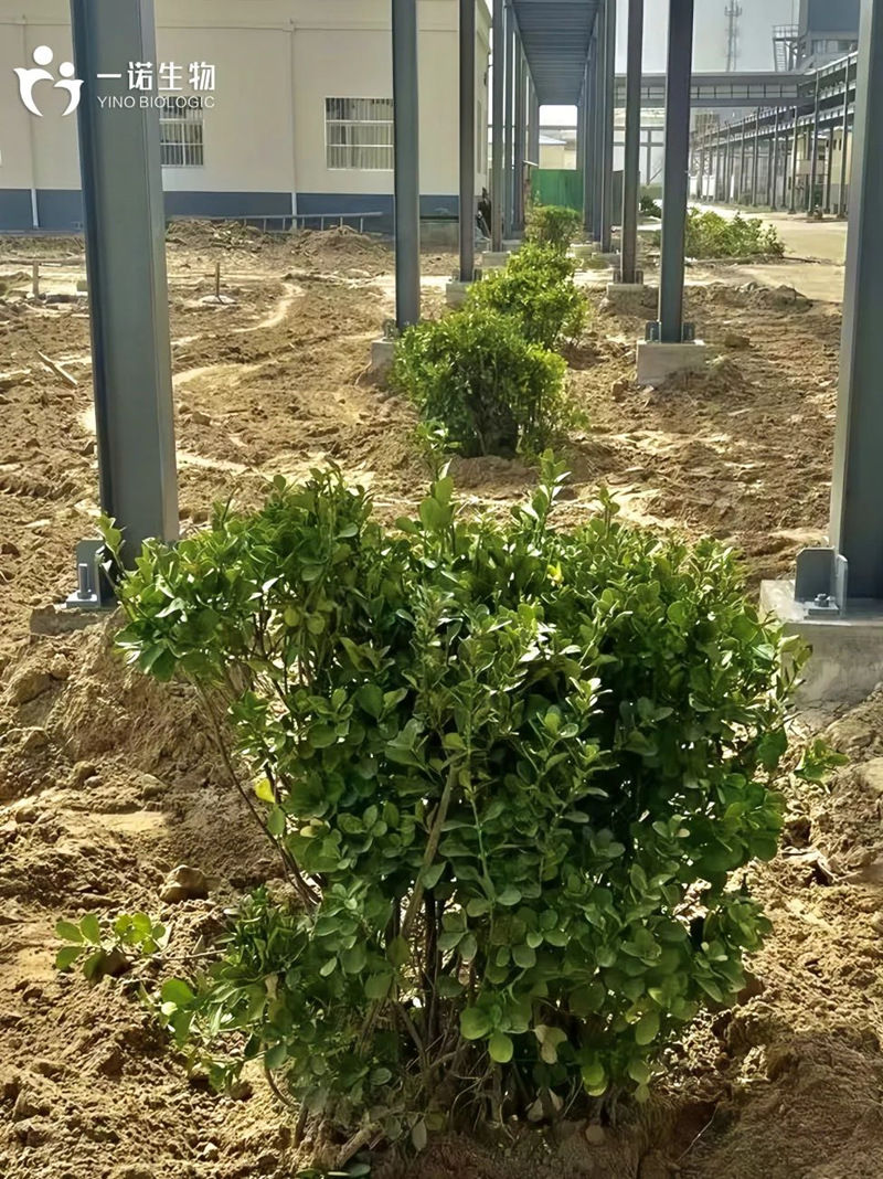 綠色工廠(chǎng)實(shí)踐,綠色工廠(chǎng)建設,生物基材料廠(chǎng)家,生產(chǎn)廠(chǎng)家
